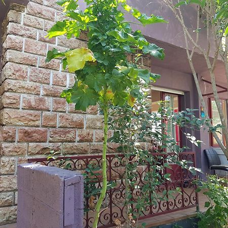 Chambres Privees Maison Jardin Toutes Commodites Partagees Valras-Plage Luaran gambar